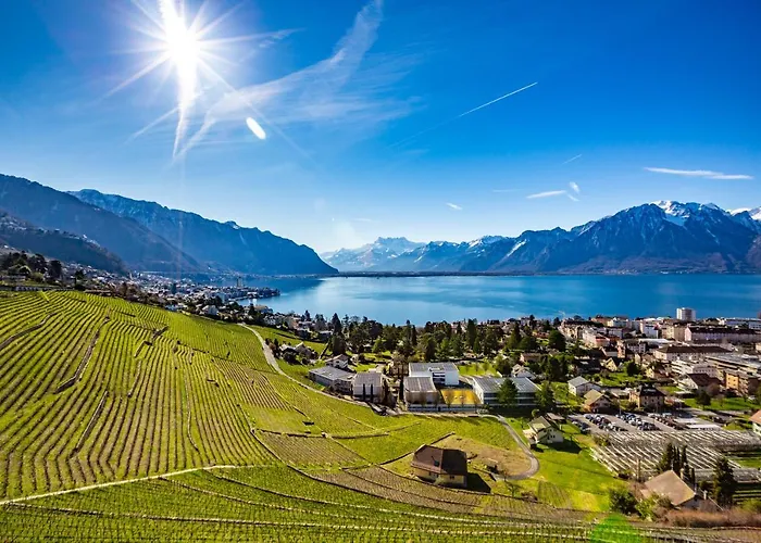 Antique In The Xv Century Castle