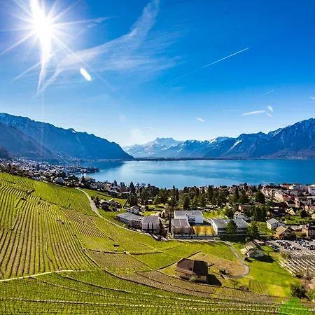 Antique In The Xv Century Castle